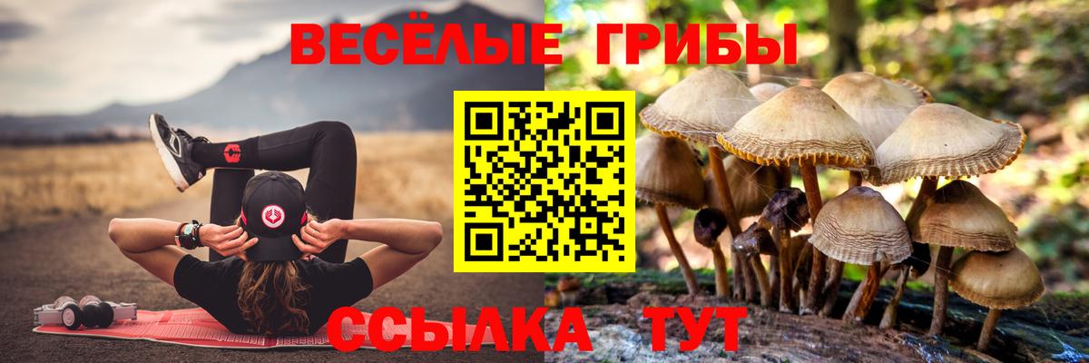 Галлюциногенные грибы ЛСД Орёл